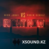 Nick Jonas & Robin Schulz - Right Now