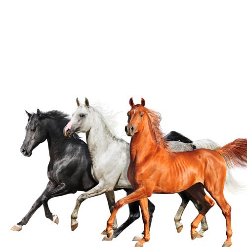 Lil Nas X, Billy Ray Cyrus, Diplo - Old Town Road (Diplo Remix)  (2019)
