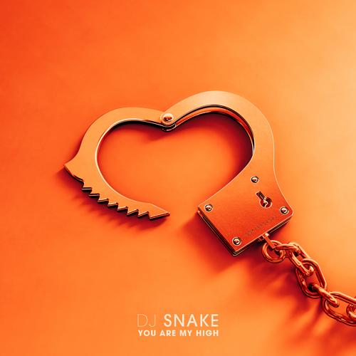 DJ Snake - You Are My High  (2021)