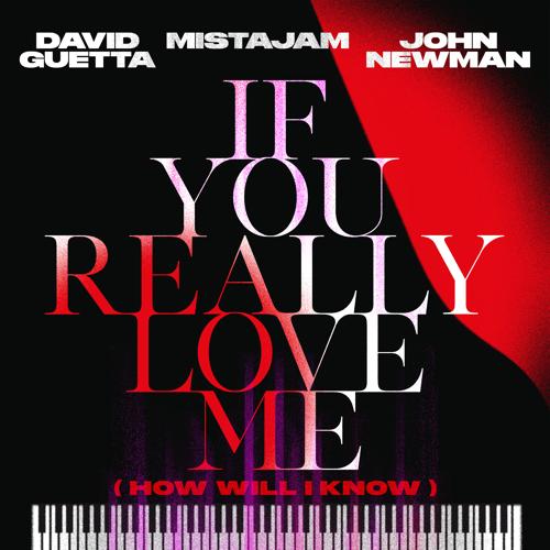 David Guetta, MistaJam, John Newman - If You Really Love Me (How Will I Know)  (2021)