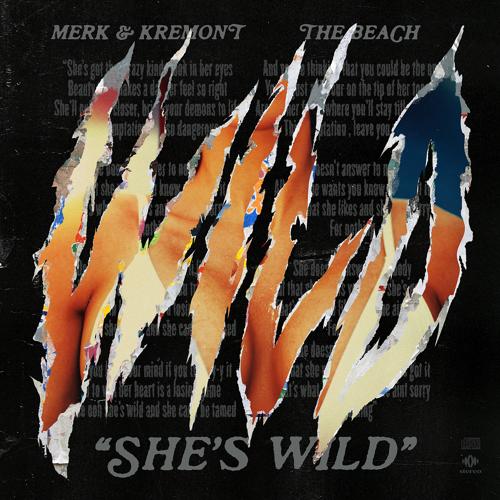 Merk & Kremont, The Beach - She's Wild  (2021)