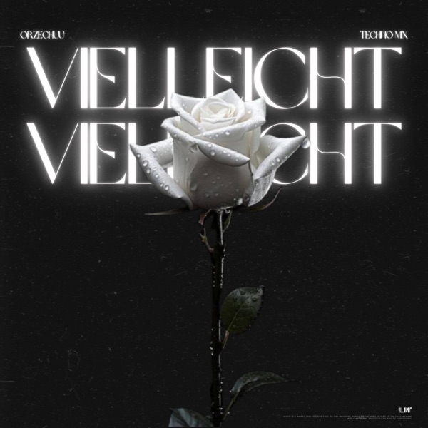 Wolverave - Vielleicht Vielleicht (Hardtekk Edit)