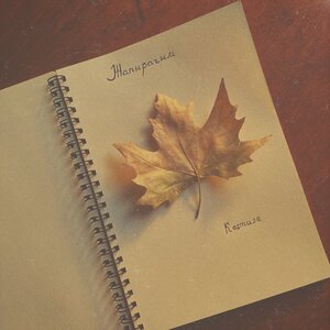 Kosmuse - Жапырағым